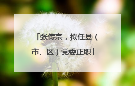 张传宗，拟任县（市、区）党委正职