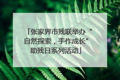 张家界市残联举办“自然探索，手作成长”助残日系列活动