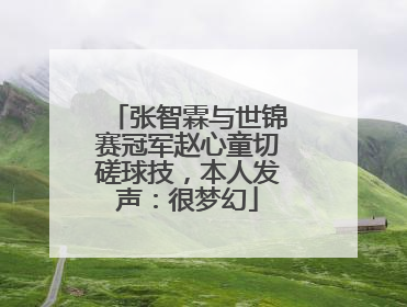 张智霖与世锦赛冠军赵心童切磋球技，本人发声：很梦幻