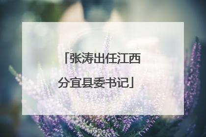 张涛出任江西分宜县委书记