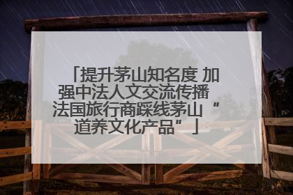 提升茅山知名度 加强中法人文交流传播 法国旅行商踩线茅山“道养文化产品”