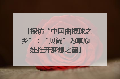 探访“中国曲棍球之乡”：“贝阔”为草原娃推开梦想之窗