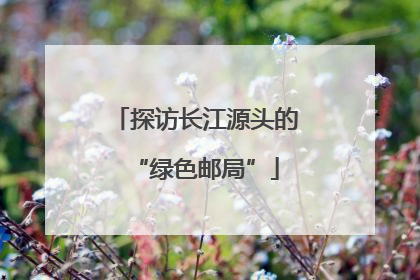 探访长江源头的“绿色邮局”