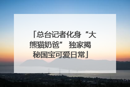 总台记者化身“大熊猫奶爸” 独家揭秘国宝可爱日常