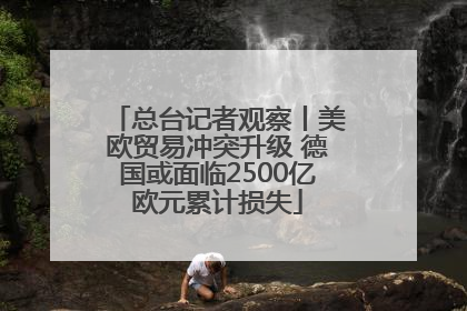 总台记者观察丨美欧贸易冲突升级 德国或面临2500亿欧元累计损失