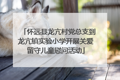 怀远县龙亢村党总支到龙亢镇实验小学开展关爱留守儿童慰问活动