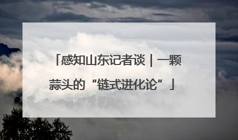 感知山东记者谈｜一颗蒜头的“链式进化论”