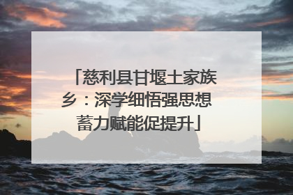 慈利县甘堰土家族乡：深学细悟强思想 蓄力赋能促提升