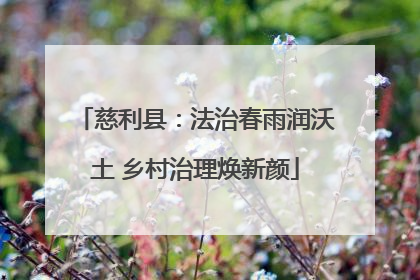 慈利县：法治春雨润沃土 乡村治理焕新颜