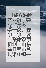 成立油桃产业链，建立“常态一季一议、要事一事一议”联席议事机制，山东省日照市莒县果庄镇——13个党小组“全周期”育果