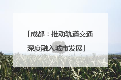 成都：推动轨道交通深度融入城市发展