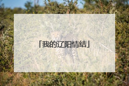 我的辽阳情结