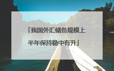 我国外汇储备规模上半年保持稳中有升