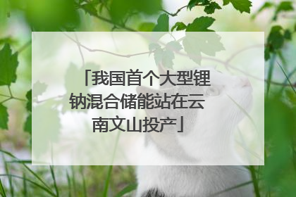 我国首个大型锂钠混合储能站在云南文山投产