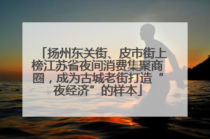 扬州东关街、皮市街上榜江苏省夜间消费集聚商圈，成为古城老街打造“夜经济”的样本