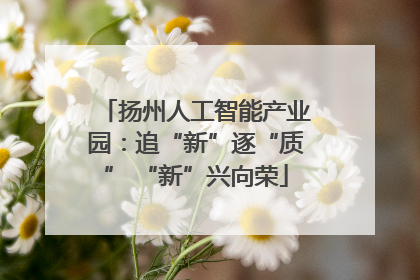 扬州人工智能产业园：追“新”逐“质” “新”兴向荣