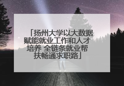 扬州大学以大数据赋能就业工作和人才培养 全链条就业帮扶畅通求职路