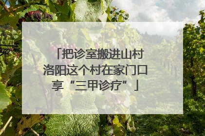 把诊室搬进山村 洛阳这个村在家门口享“三甲诊疗”