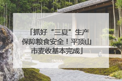 抓好“三夏”生产 保障粮食安全！平顶山市麦收基本完成