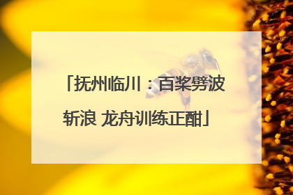 抚州临川：百桨劈波斩浪 龙舟训练正酣