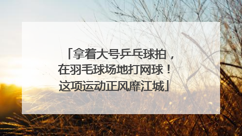 拿着大号乒乓球拍，在羽毛球场地打网球！这项运动正风靡江城