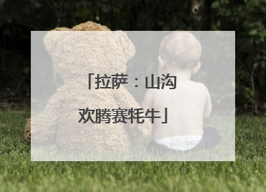 拉萨：山沟欢腾赛牦牛