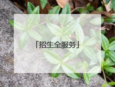 招生全服务
