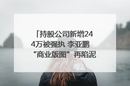 持股公司新增244万被强执 李亚鹏“商业版图”再陷泥潭？｜科技观察