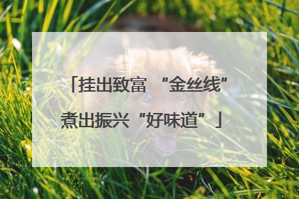 挂出致富 “金丝线” 煮出振兴“好味道”