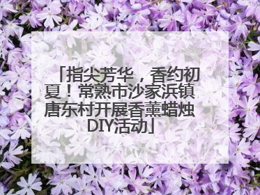 指尖芳华，香约初夏！常熟市沙家浜镇唐东村开展香薰蜡烛DIY活动