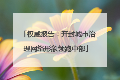 权威报告：开封城市治理网络形象领跑中部