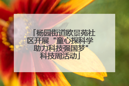 杨园街道欧景苑社区开展“童心探科学 助力科技强国梦”科技周活动