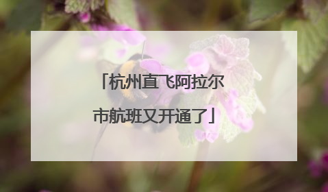 杭州直飞阿拉尔市航班又开通了