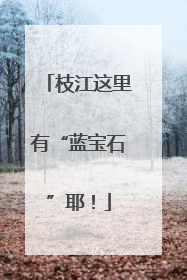 枝江这里有“蓝宝石”耶！