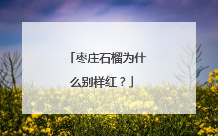 枣庄石榴为什么别样红？