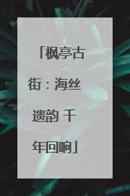 枫亭古街：海丝遗韵 千年回响