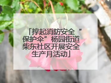 撑起消防安全“保护伞”杨园街道柴东社区开展安全生产月活动