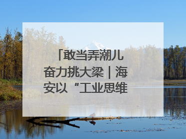 敢当弄潮儿 奋力挑大梁｜海安以“工业思维”拓宽共富路
