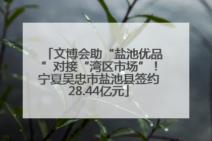 文博会助“盐池优品”对接“湾区市场”！宁夏吴忠市盐池县签约28.44亿元
