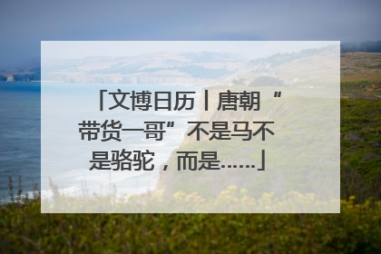 文博日历丨唐朝“带货一哥”不是马不是骆驼，而是……