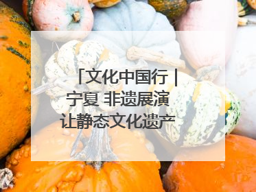 文化中国行｜宁夏 非遗展演让静态文化遗产“活”起来
