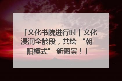 文化书院进行时｜文化浸润全龄段，共绘 “朝阳模式” 新图景！