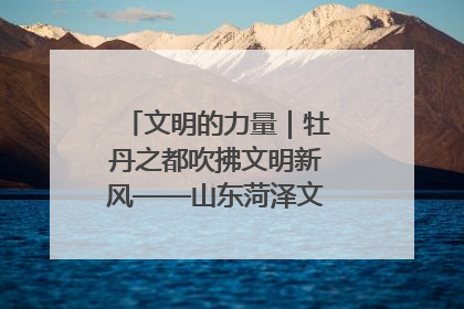 文明的力量｜牡丹之都吹拂文明新风——山东菏泽文明创建一线见闻