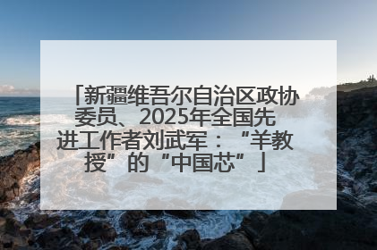 新疆维吾尔自治区政协委员、2025年全国先进工作者刘武军：“羊教授”的“中国芯”