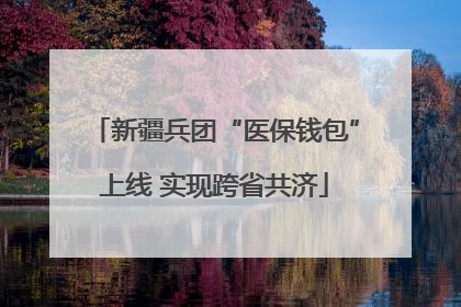 新疆兵团“医保钱包”上线 实现跨省共济