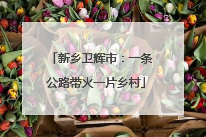 新乡卫辉市：一条公路带火一片乡村