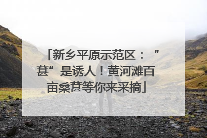 新乡平原示范区：“葚”是诱人！黄河滩百亩桑葚等你来采摘