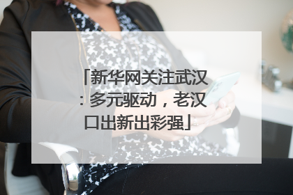 新华网关注武汉：多元驱动，老汉口出新出彩强