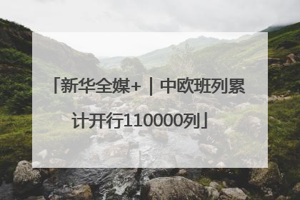 新华全媒+｜中欧班列累计开行110000列
