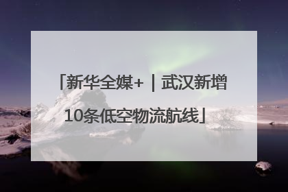 新华全媒+｜武汉新增10条低空物流航线